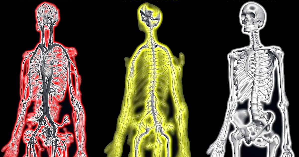 Natürlich Gesund Your Body vs The World In 68 Seconds
