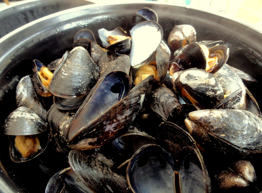 Lunch at the Rihour Square in Lille Champagne and Steamed Mussels