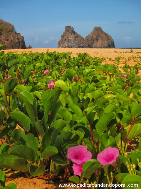 Praia do Bode