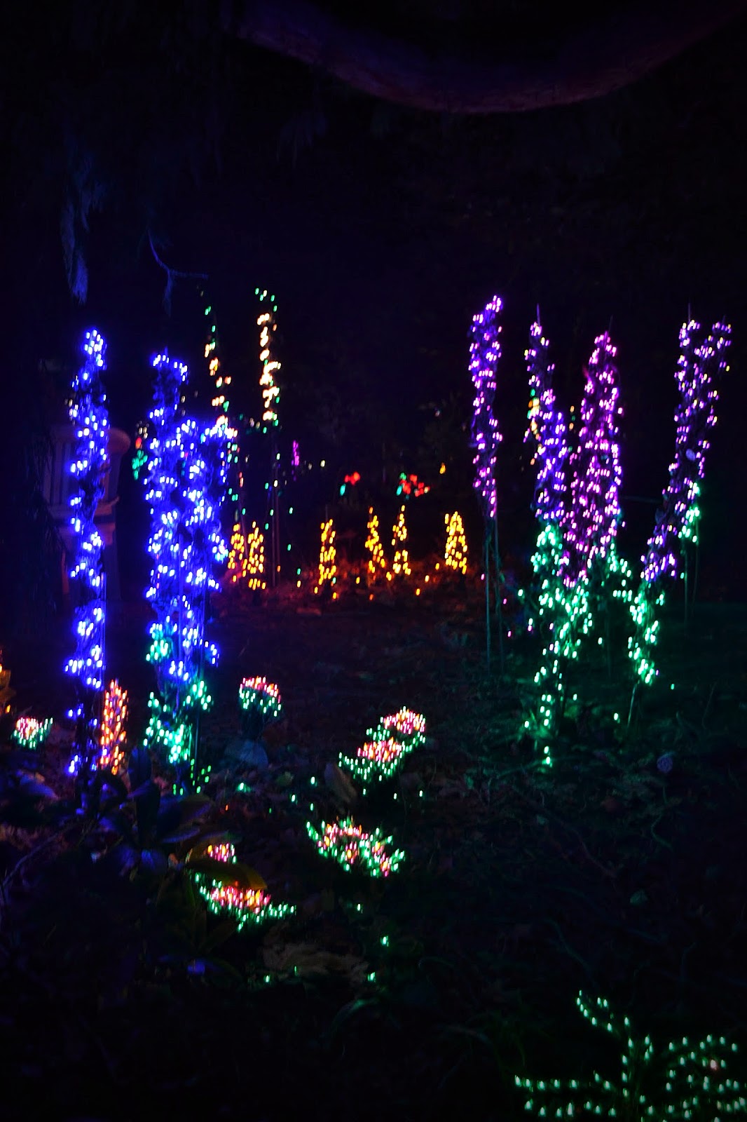 The Outlaw Gardener: Garden d'Lights at Bellevue Botanical Garden