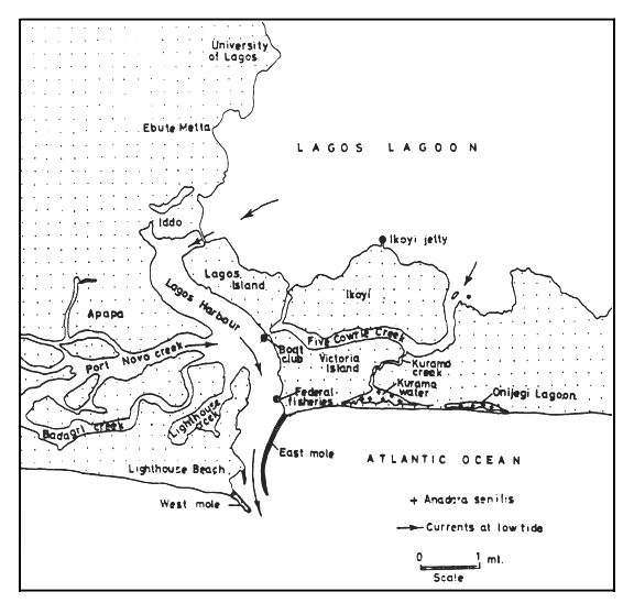 Lagos Lagoon and Harbour (Map credit FAO.org) Lagos Lagoon and Harbour (Map credit FAO.org)