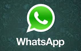 Pots fer la teva primera pregunta per whatsApp