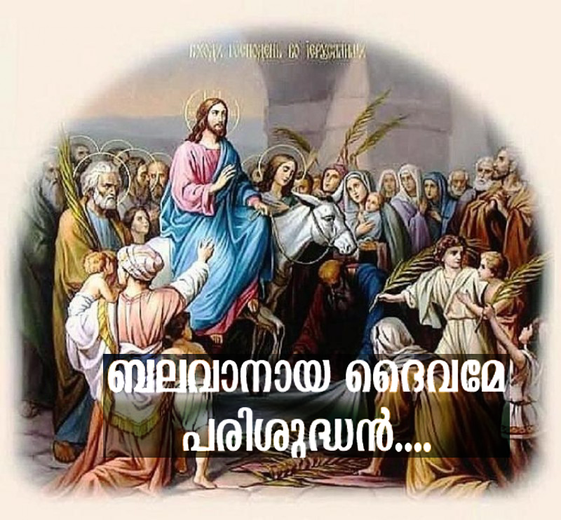 Free Free