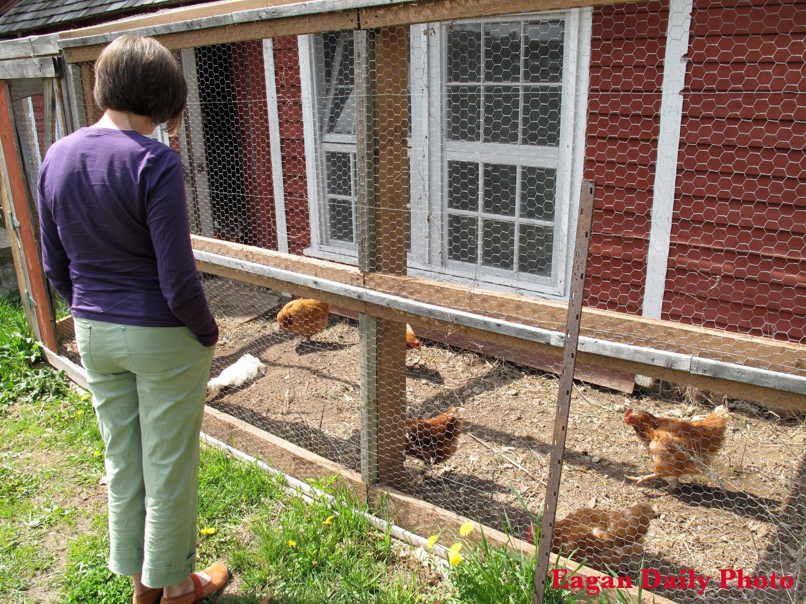 Eagan Daily Photo September 2013