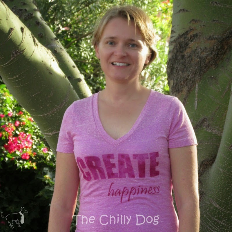 http://www.thechillydog.com/2014/10/tutorial-solar-printed-t-shirt.html