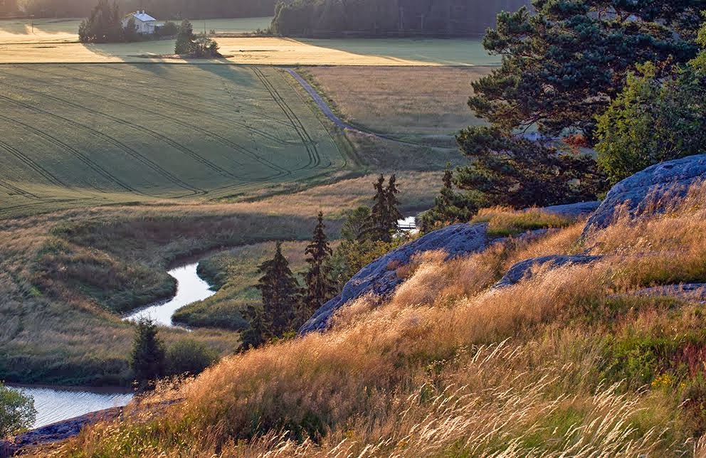 Vuoden Luontokuvan sarjavoittajat: