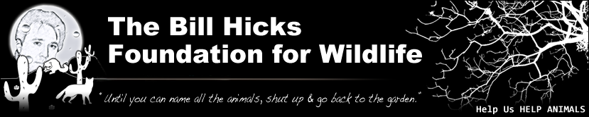 The Bill Hicks Foundation for Wildlife