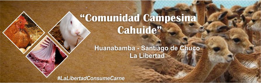 Comunidad Campesina Cahuide