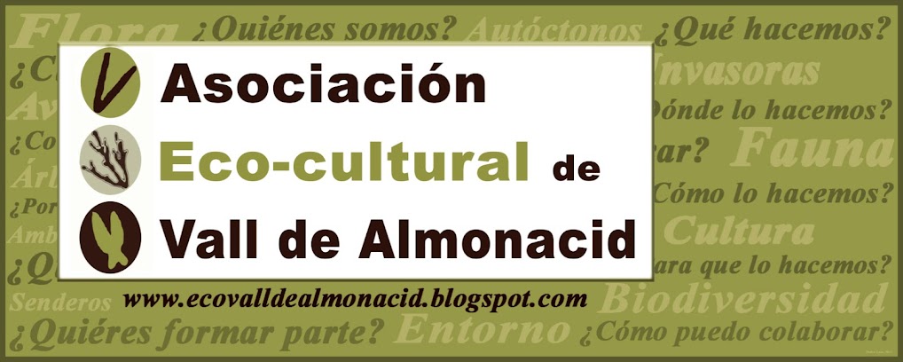 Asociacion ECO-Cultural Vall de Almonacid