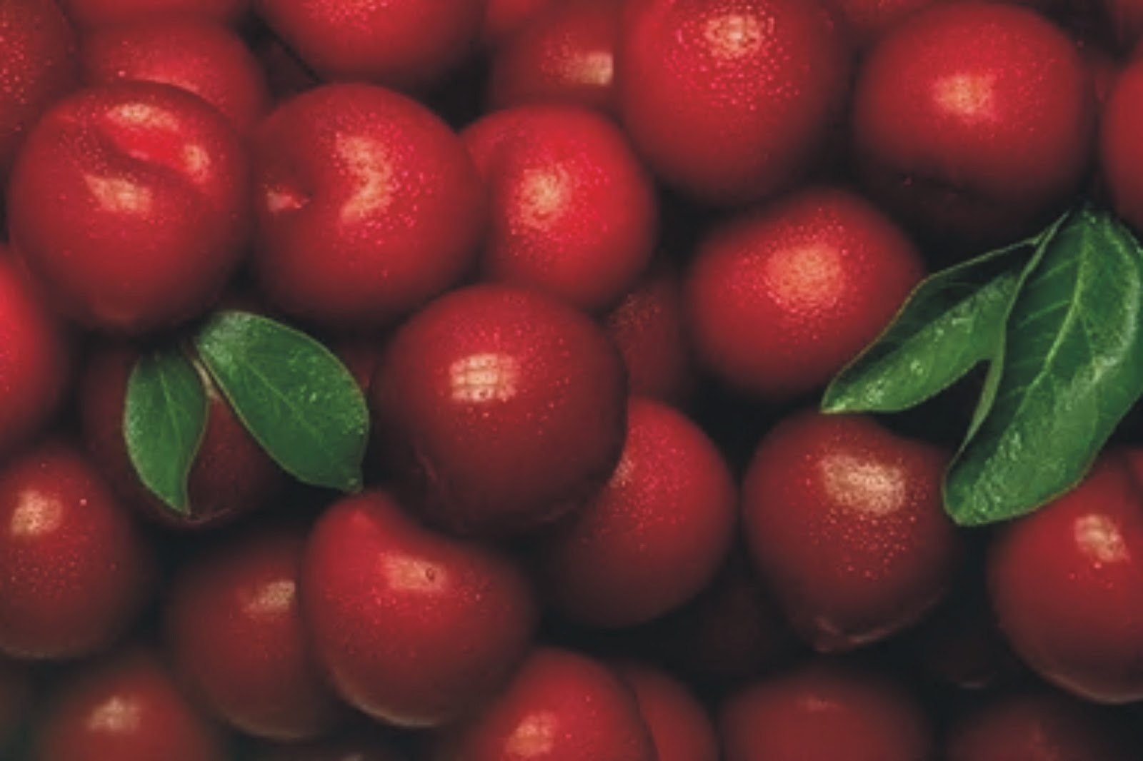 Top 10 Antioxidant Fruits quickandyummymeals