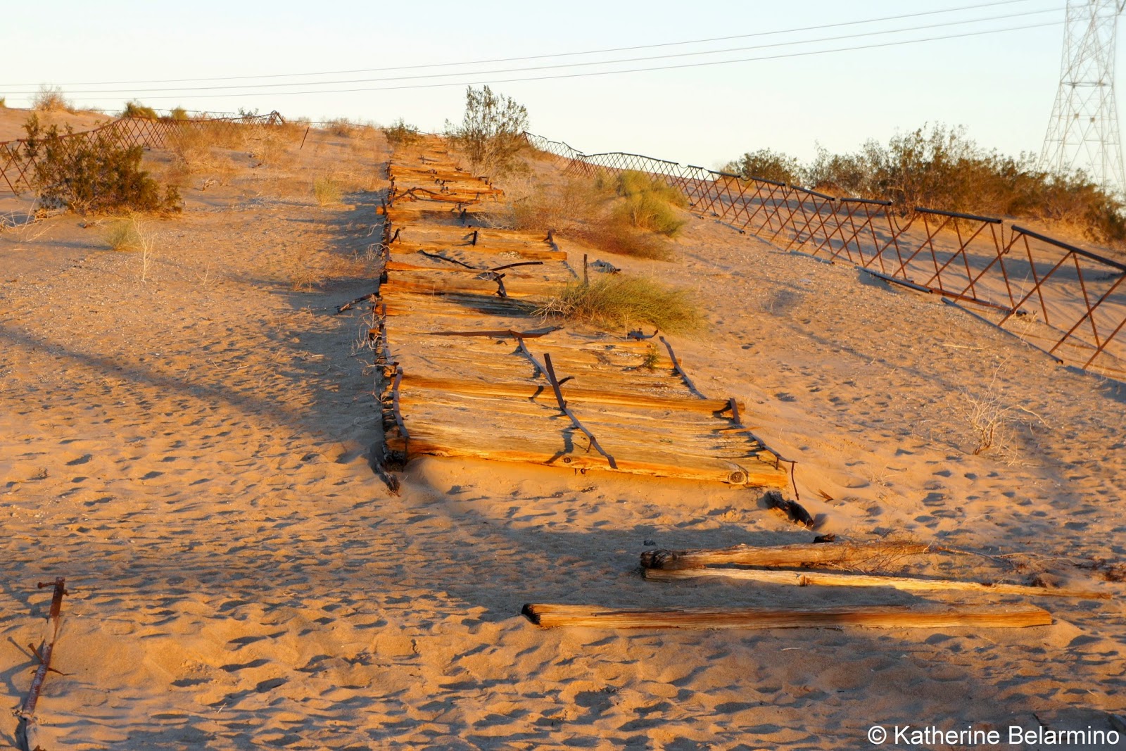 Off the Beaten Path The Plank Road of Southern California Travel the