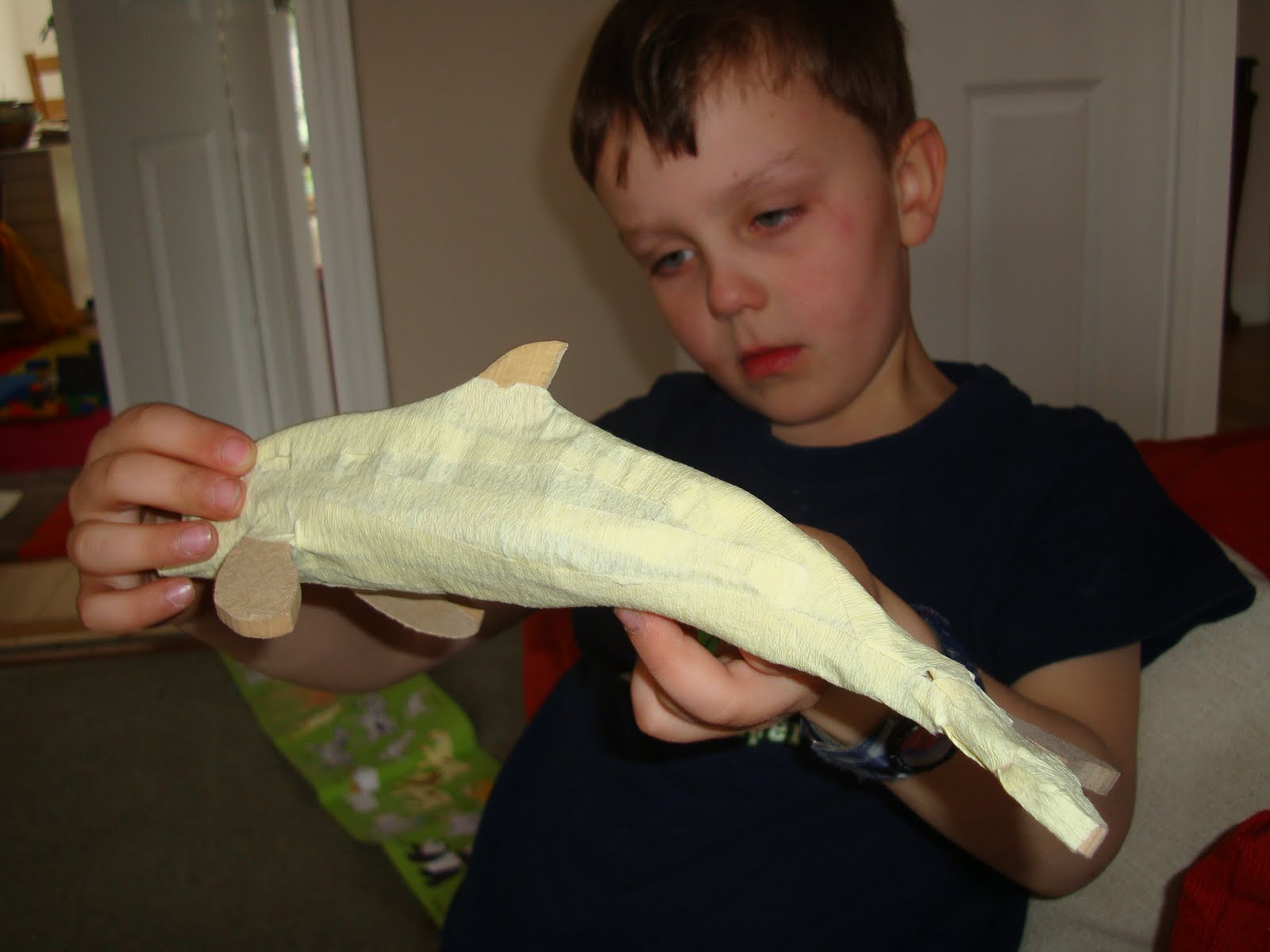 DaSiTaGe Making a Dolphin