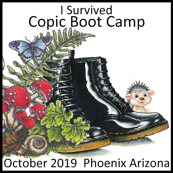 Copic Boot Camp