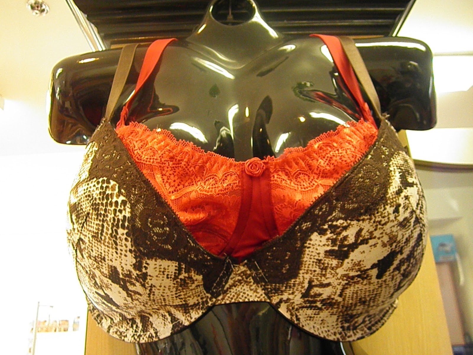 Paradigm Shift Wearing two bras provides comfort and support!