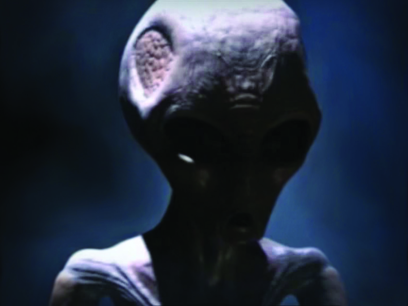 Tulsi Gabbard Gar Nix