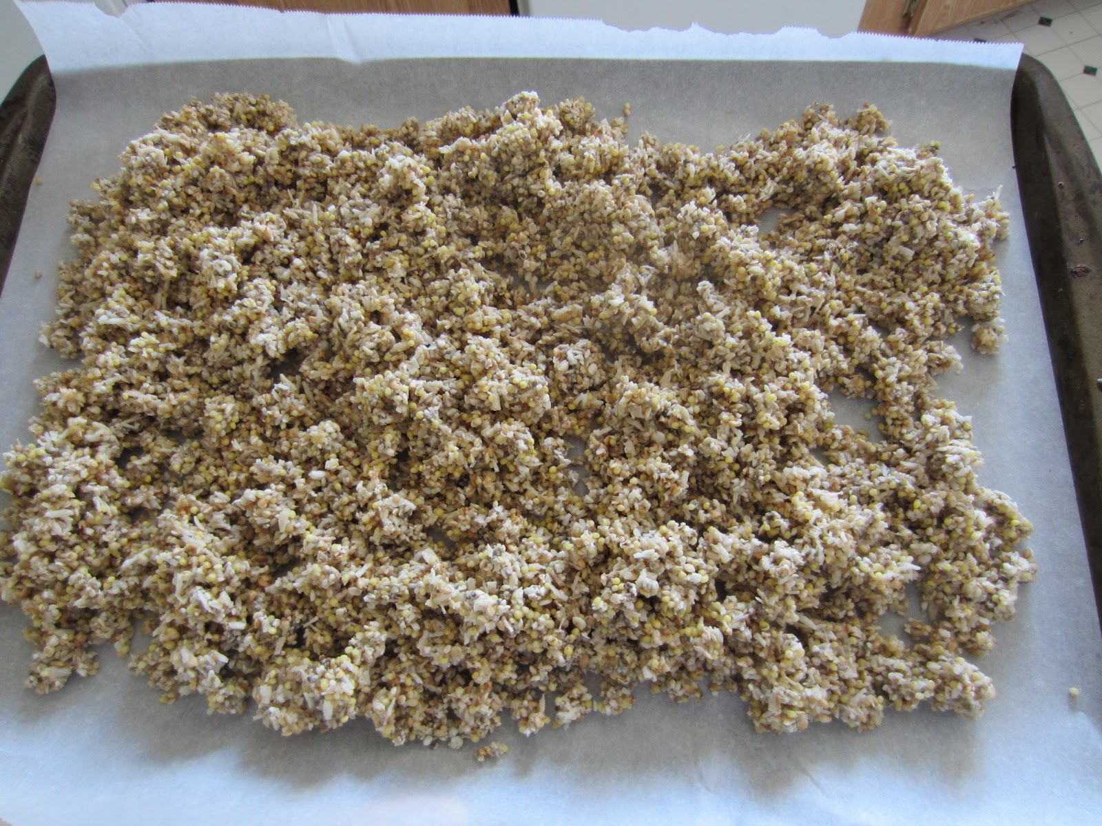 Soaked Buckwheat & Millet Granola