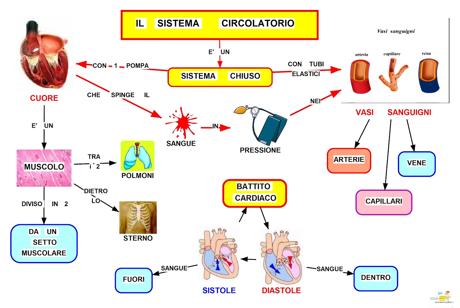 Biologia Umana Mat Scienze