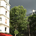 Dark Clouds