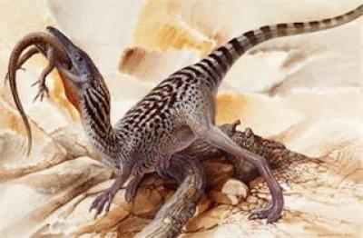 Compsognathus