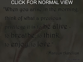 Free Pictures: Life Quotes Images, Quotes About Life