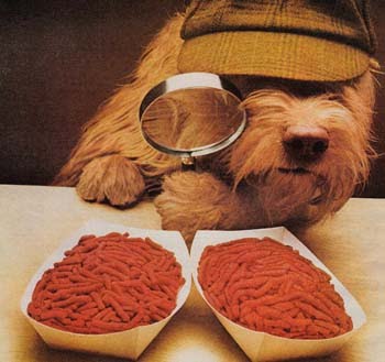best food for yorkies with allergies miniature terrier worst and best foods for dogs and yorkies best food for yorkies with allergies miniature terrier worst and best foods for dogs and yorkies