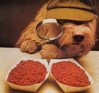 Can Dogs Digest Sand Can Dogs Digest Sand