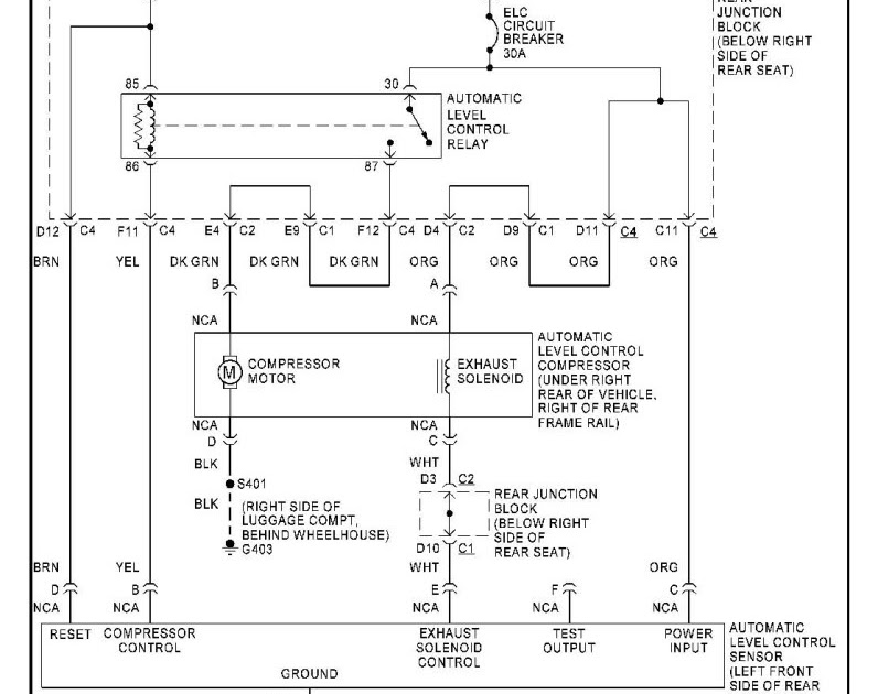 Free Auto Wiring Diagram 1998 Buick Park Avenue Ultra