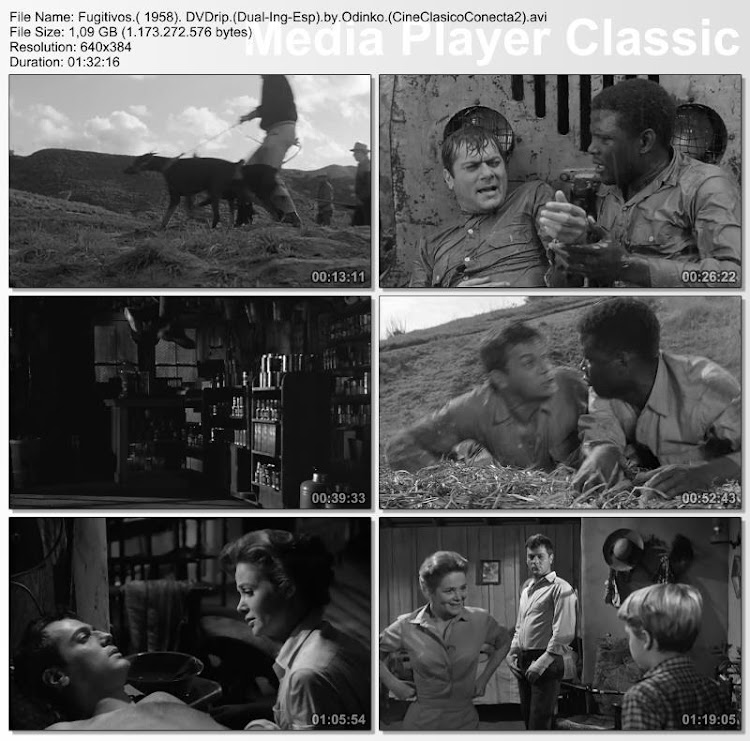 Fugitivos | 1958 | The Defiant Ones | Capturas Fugitivos | 1958 | The Defiant Ones | Capturas de pantalla