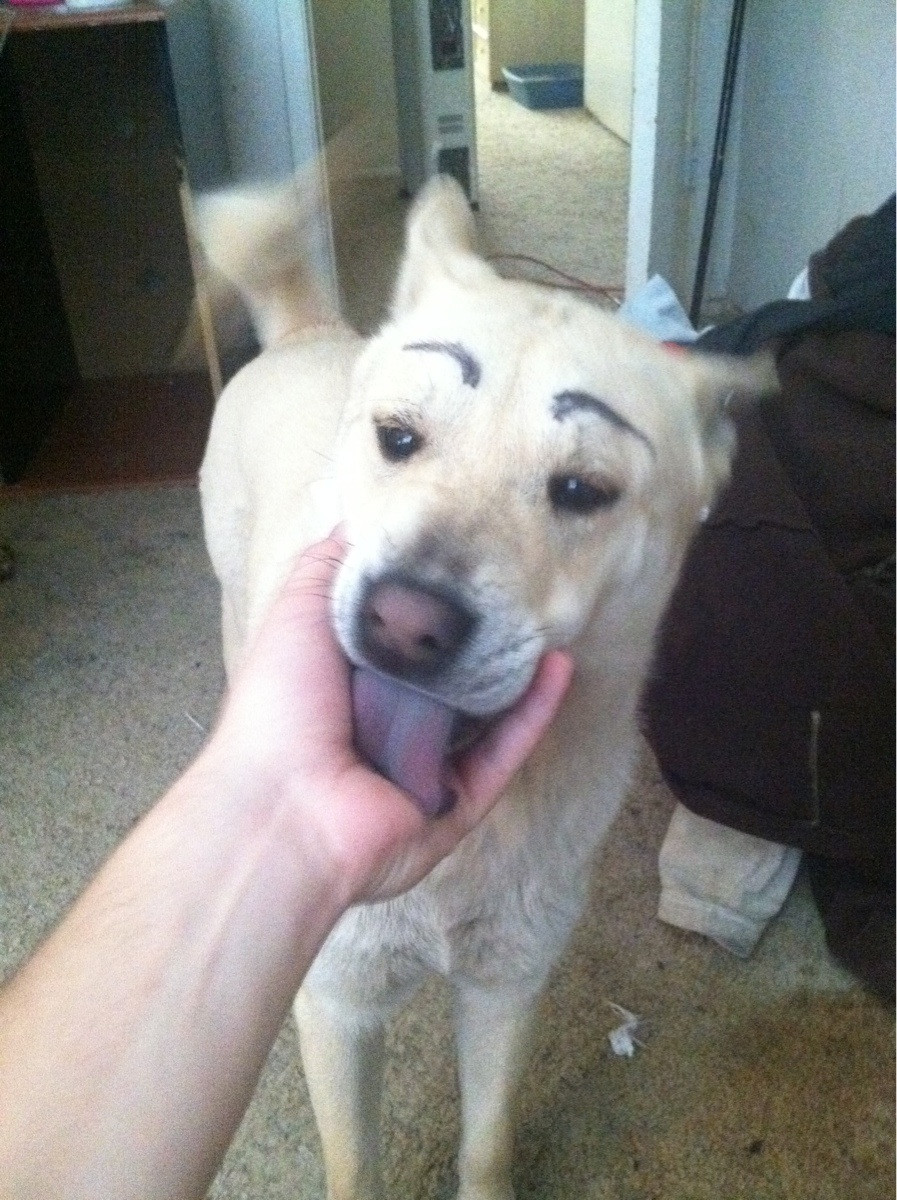 My Life As A Zombie Fun With Sharpies