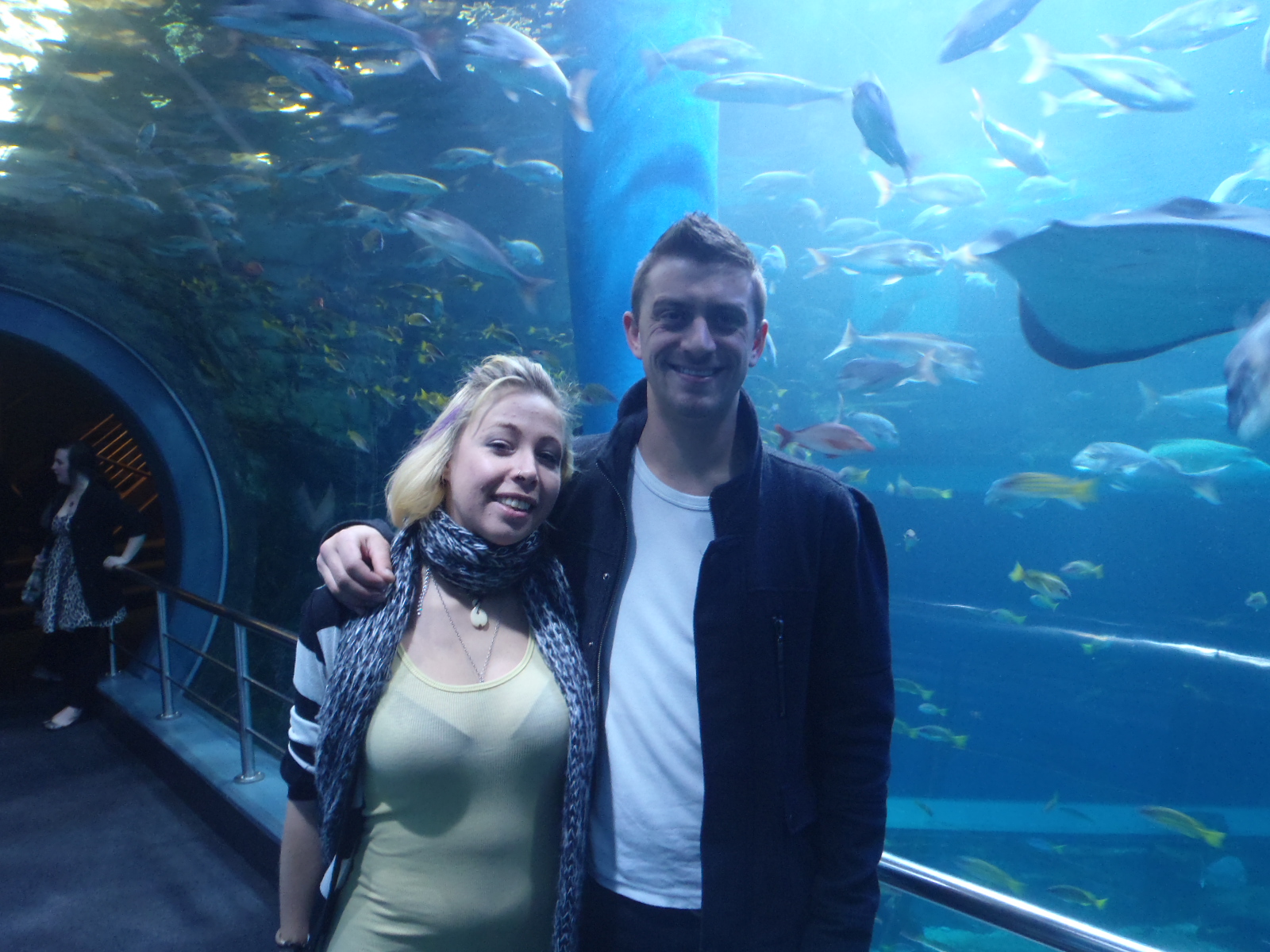 The Land of OZ 31 a Life Aquatic, and Ray Brower...You Know, the Dead