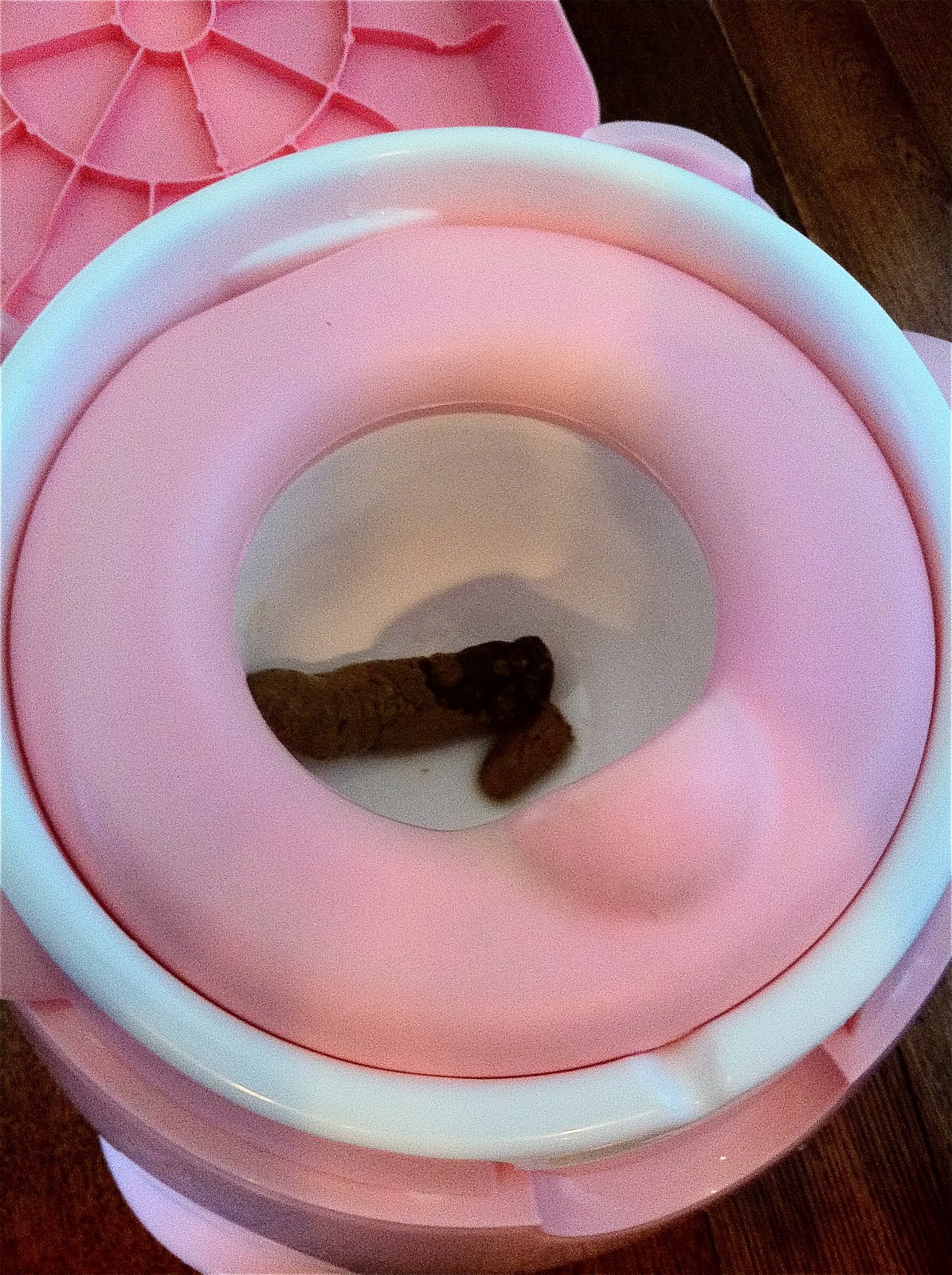 Bolling With 5 Officially Potty Training for Good!