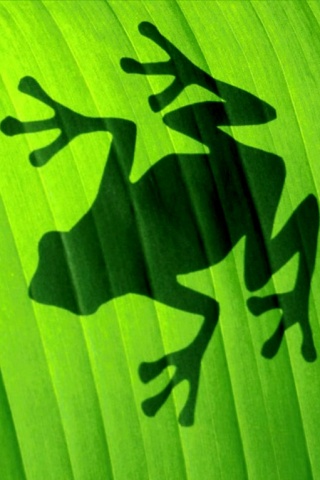 iPhoneZone: 20+ Most Beautiful Examples of Frog Wallpapers for iPhone
