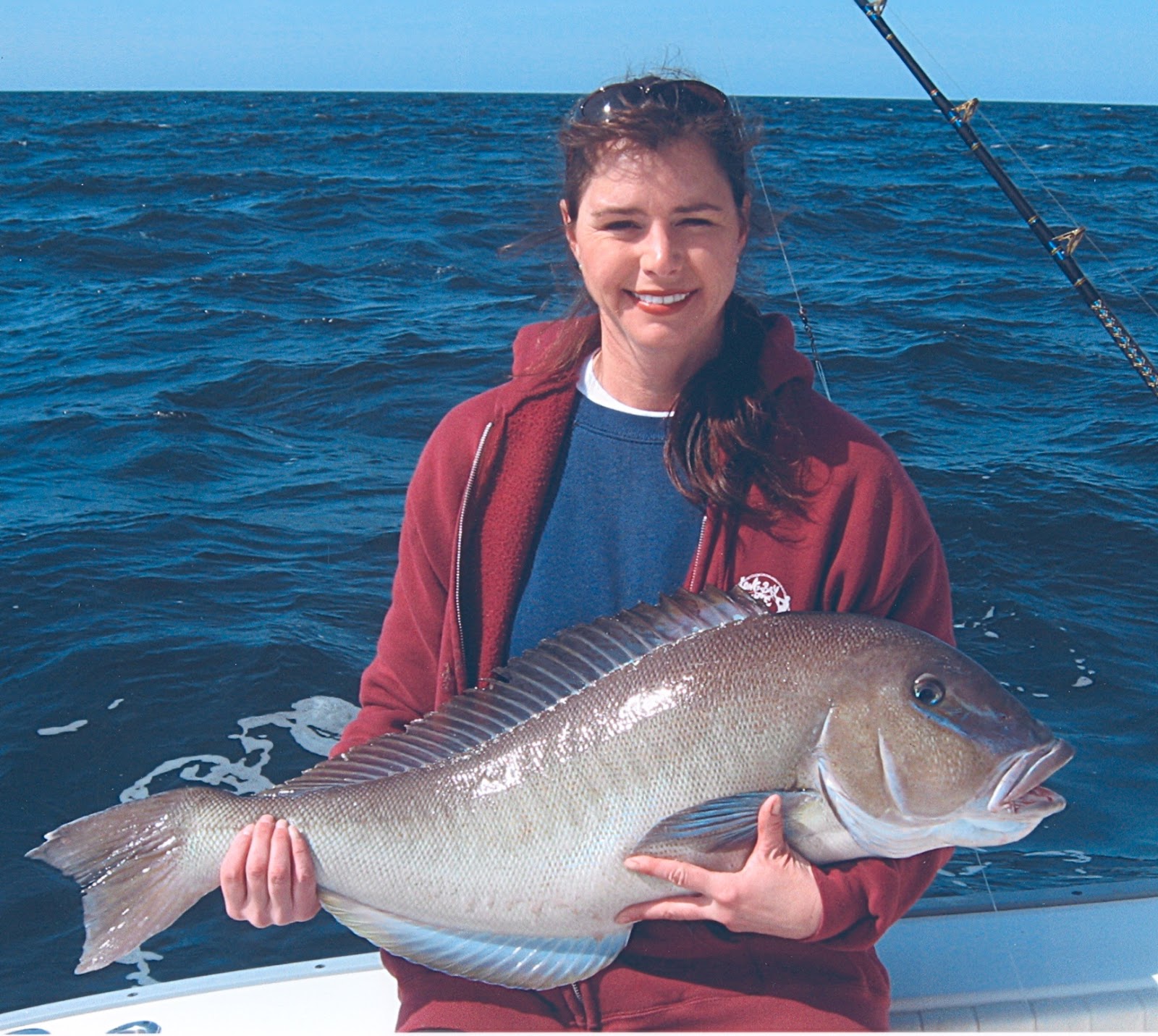 Big Fishes of the World TILEFISH BLUE LINE (caulolatilus microps)