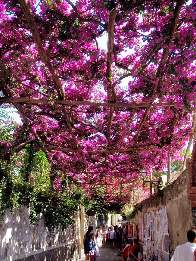 calles techadas de flores y árboles