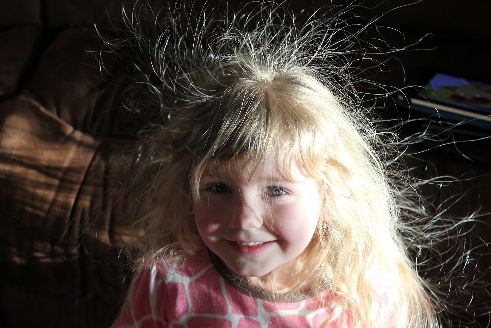 Rocks In The Washer Bad Hair Day