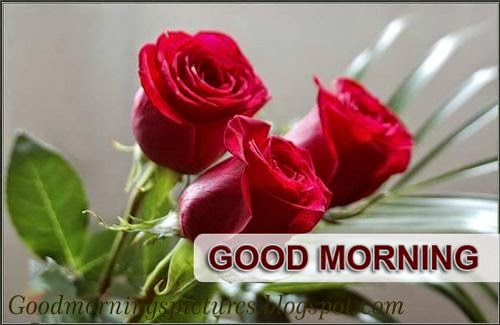 Latest Good Morning Love Quotes Hd Pictuers Beautiful Good Morning Pictures
