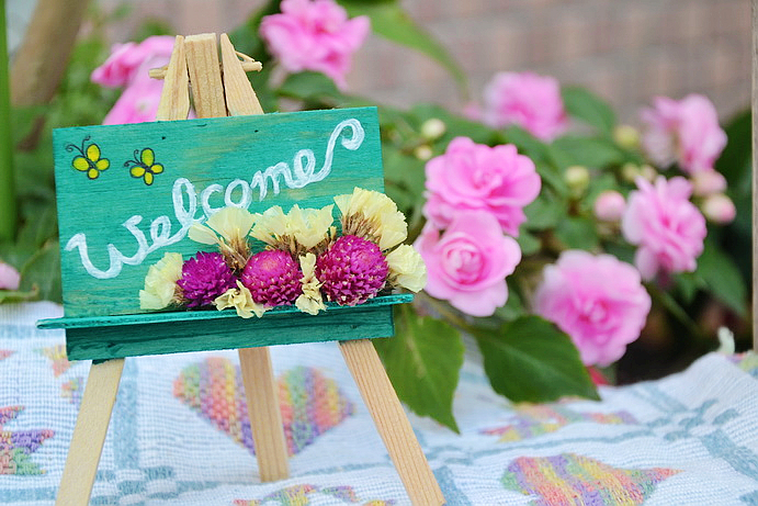 天天都好菜 我的乾燥花手作 星辰花 千日紅