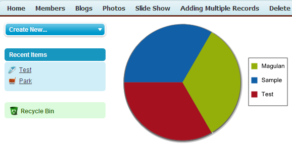 Oracle Apex Pie Chart Example