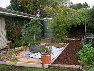 Sustainable Sisters Team: Front No Dig Garden - Mulch