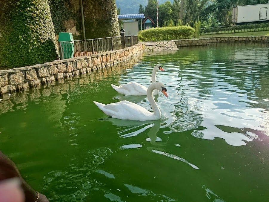 Cuti-cuti Malaysia : Colmar Tropicale, Bukit Tinggi, Pahang, Malaysia Cuti-cuti Malaysia : Colmar Tropicale, Bukit Tinggi, Pahang, Malaysia