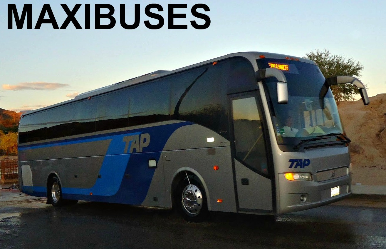 MAXIBUSES TRANSPORTES Y AUTOBUSES DEL PACÍFICO (TAP)