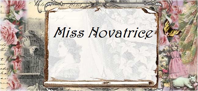 Miss Novatrice