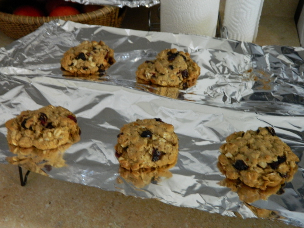 the knotted chain Fruit Filled Oatmeal Cookies