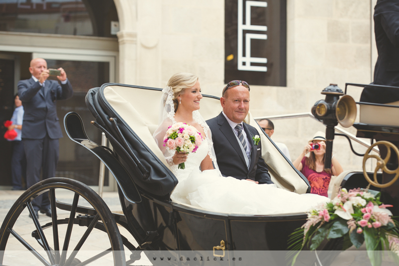 Carruaje de Caballos Alicante