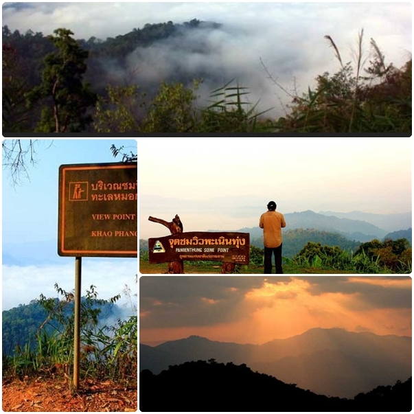 อัลบั้ม 91+ ภาพพื้นหลัง ความอุดมสมบูรณ์ของธรรมชาติ สวยมาก