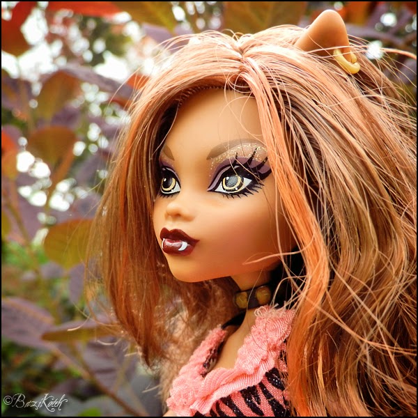 Calvin�s Canadian Cave of Coolness Early Week Image Blizzard