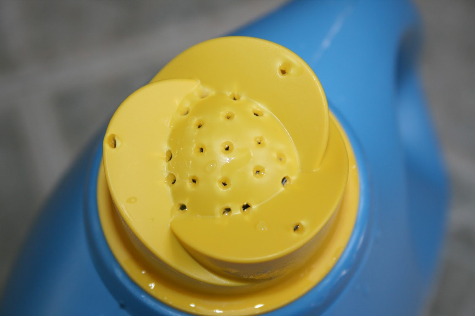 Ashley DIY DIY Watering Can