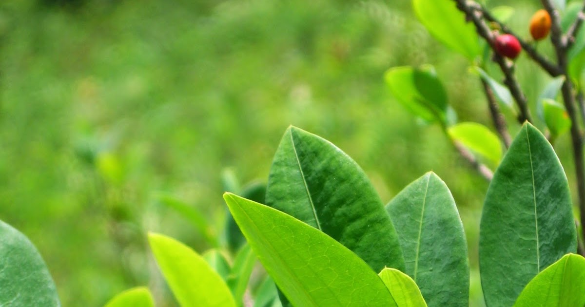 BOLIVIA JAMAS RENUNCIARA A SU MAR..!!! AUTORIDADES ENCONTRARON EL