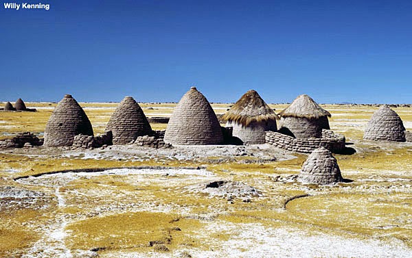 Caserío de putucus en distintos tamaños con y sin paja Conjunto de putucus en el Altiplano
