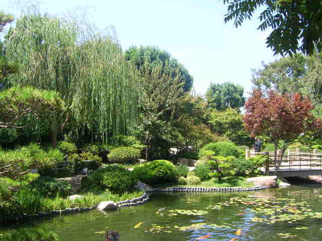 Rikachuuable Earl Burns Miller Japanese Garden At Csulb